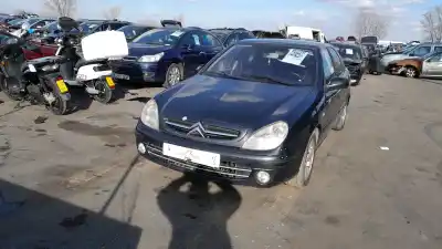 Peça sobressalente para automóvel em segunda mão  por CITROEN XSARA (N1)  Referências OEM IAM 5175P9  