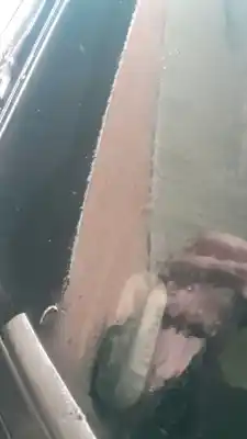 Recambio de automóvil de segunda mano de BRAZO LIMPIA DELANTERO DERECHO para CITROEN C4 COUPÉ (LA_)  referencias OEM IAM 6429Y6  