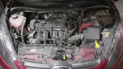 Автозапчасти б/у внутри передней правой ручки за ford fiesta vi (cb1, ccn) 1.25 ссылки oem iam 1895828  