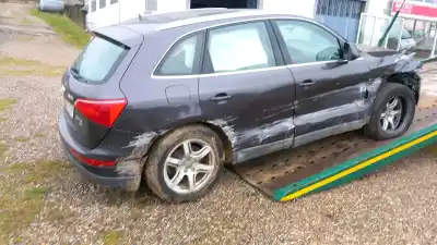 Pezzo di ricambio per auto di seconda mano maniglia interna posteriore sinistra per audi q5 (8rb) 2.0 tdi quattro riferimenti oem iam 8r0839019a6ps  