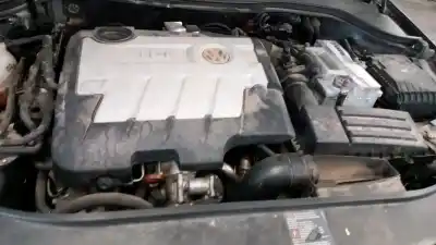 Pezzo di ricambio per auto di seconda mano alzacristalli posteriore sinistro per volkswagen passat b6 (3c2) 2.0 tdi 16v riferimenti oem iam 7l6959855b reh  