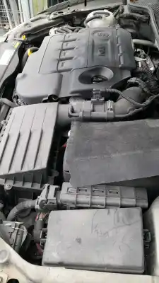 Pezzo di ricambio per auto di seconda mano vassoio posteriore per seat leon st (5f8) 2.0 tdi 4drive riferimenti oem iam 5f9867871bfz7  