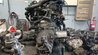 Pezzo di ricambio per auto di seconda mano alternatore per audi a4 b6 avant (8e5) 1.9 tdi riferimenti oem iam 028903029rx  