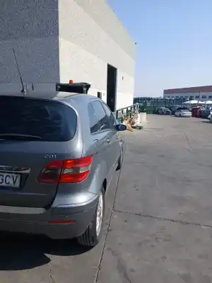 Pièce détachée automobile d'occasion COFFRE / SERRURE DE PORTE pour MERCEDES-BENZ CLASE B SPORTS TOURER (W245)  Références OEM IAM A1697400235  