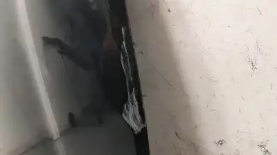 Peça sobressalente para automóvel em segunda mão capot por kia pro cee'd (jd) 1.4 crdi 90 referências oem iam 66400a2000  