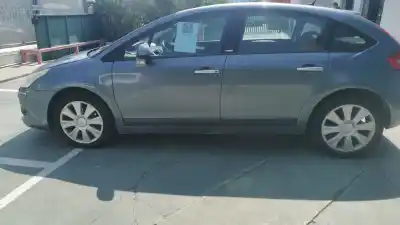 Peça sobressalente para automóvel em segunda mão amortecedor traseiro esquerdo por citroen c4 i (lc_) 2.0 hdi referências oem iam 1623318180   Peça sobressalente para automóvel em segunda mão amortecedor traseiro esquerdo por citroen c4 i (lc_) 2.0 hdi referências oem iam 1623318180