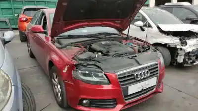 Peça sobressalente para automóvel em segunda mão AMORTECEDOR TRASEIRO ESQUERDO por AUDI A4 AVANT (8K5) (2008)  Referências OEM IAM 8K0513035AJ  