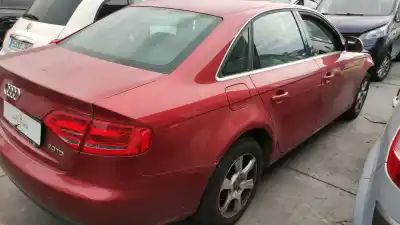 Pezzo di ricambio per auto di seconda mano braccio sospensione superiore posteriore destro per audi a4 avant (8k5) (2008) básico riferimenti oem iam 8k0505312j  