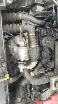 Recambio de automóvil de segunda mano de cinturon con pretensor delantero izquierdo para citroen berlingo furgoneta/monovolumen (b9) 1.6 hdi / bluehdi 75 referencias oem iam 98025582xx  