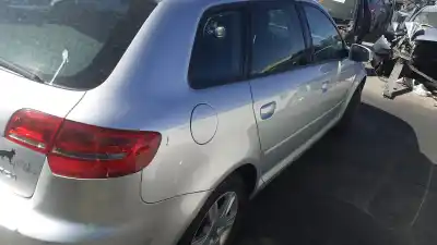 Gebrauchtes Autoersatzteil stoßdämpfer links vorne zum audi a3 (8p) 1.6 tdi ambiente oem-iam-referenzen 1k0413031dq   Gebrauchtes Autoersatzteil stoßdämpfer links vorne zum audi a3 (8p) 1.6 tdi ambiente oem-iam-referenzen 1k0413031dq