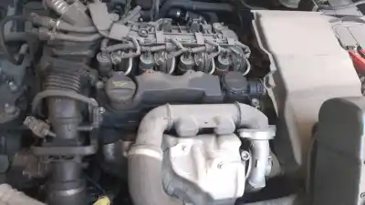 Pezzo di ricambio per auto di seconda mano braccio sospensione superiore posteriore sinistro per ford focus ii (da_, hcp, dp) 1.6 tdci riferimenti oem iam 1517403  