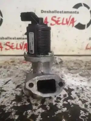 Recambio de automóvil de segunda mano de valvula egr para fiat doblo (119) 1.3 16v jtd cat referencias oem iam slv55219498  