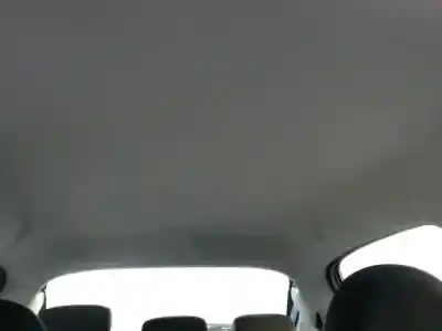 Pièce détachée automobile d'occasion toit intérieur pour peugeot 206 sw d-8hz références oem iam 8337sy  