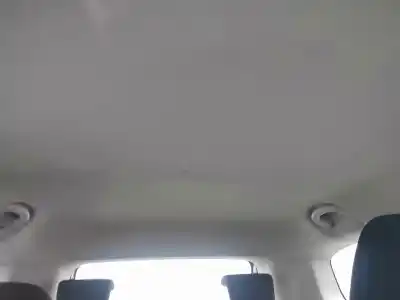 Pezzo di ricambio per auto di seconda mano TETTO INTERNO per FIAT GRANDE PUNTO (199)  Riferimenti OEM IAM   
