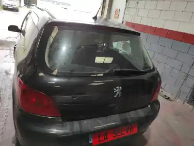 Автозапчастина б/у загальні двері для PEUGEOT 307 (S1) 9HY Посилання на OEM IAM   