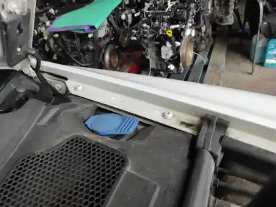 Gebrauchtes Autoersatzteil  zum AUDI A6 C6 (4F2)  OEM-IAM-Referenzen   