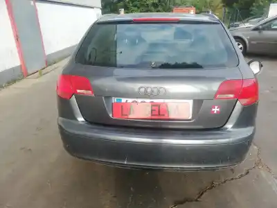 Second-hand car spare part TAILGATE for AUDI A3 SPORTBACK (8PA)  OEM IAM references   