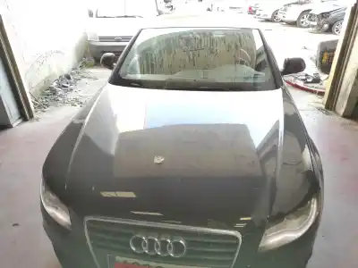 İkinci el araba yedek parçası kaporta için AUDI A4 BERLINA (8K2)  OEM IAM referansları 8K0823029D  