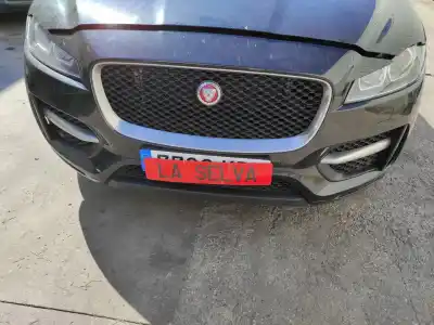 Pezzo di ricambio per auto di seconda mano Paraurti Anteriore per JAGUAR F-PACE (X761) 3.0 SDV6 AWD Riferimenti OEM IAM T4A6187LML   Pezzo di ricambio per auto di seconda mano Paraurti Anteriore per JAGUAR F-PACE (X761) 3.0 SDV6 AWD Riferimenti OEM IAM T4A6187LML