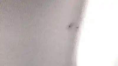 Second-hand car spare part interior roof for citroen c3 collection oem iam references 96866480bj  