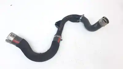 Pièce détachée automobile d'occasion Tube pour RENAULT CAPTUR II 1.0 TCE Références OEM IAM 310000195603  