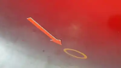 Peça sobressalente para automóvel em segunda mão capot por mg zs comfort referências oem iam 10230176  