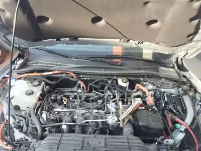 Peça sobressalente para automóvel em segunda mão grelha torpedo curcuvan por ford kuga iii (dfk) 2.5 fhev referências oem iam lv4bs02216agw