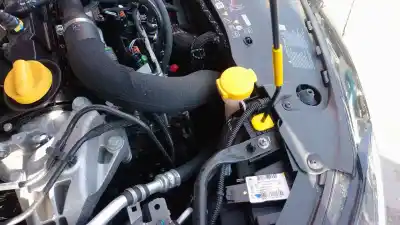 Peça sobressalente para automóvel em segunda mão DEPÓSITO DO LIMPA VIDROS por RENAULT CLIO V  Referências OEM IAM 289108657R  