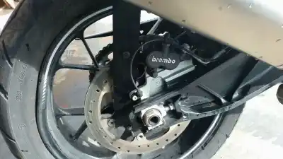 Peça sobressalente para automóvel em segunda mão pinça de travão traseira direita por ktm super adventure 1290 super adventure s referências oem iam 6031308010130