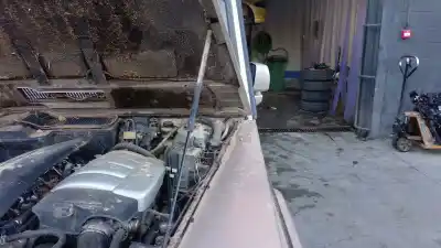 Peça sobressalente para automóvel em segunda mão amortecedor do capô por mercedes-benz clase g (w463) g 270 cdi (463.322, 463.323) referências oem iam 0009808164