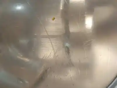 Peça sobressalente para automóvel em segunda mão farol / farolim esquerdo por bmw mini (r50,r53) one referências oem iam 6961345 63127198729 