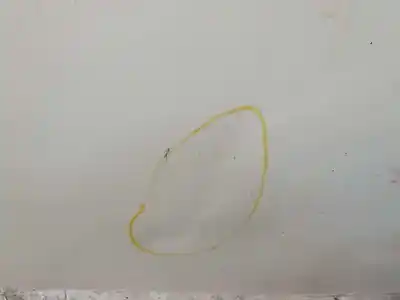 Pezzo di ricambio per auto di seconda mano cofano per renault kangoo express 1.5 dci riferimenti oem iam 7751478148  