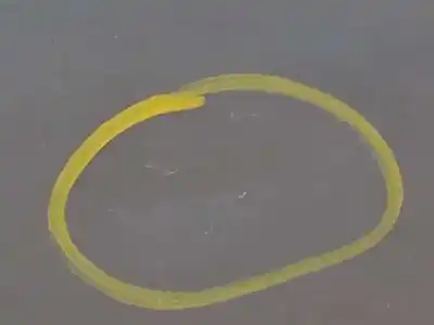 Автозапчасти б/у дверь передняя правая за kia ceed (cd) 1.4 t-gdi ссылки oem iam 76004j7000  