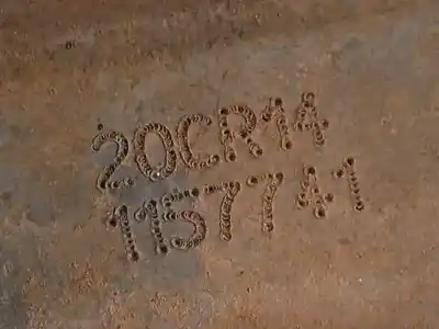 Pezzo di ricambio per auto di seconda mano riduttore per citroen c3 tonic riferimenti oem iam 20cr14  9803846180