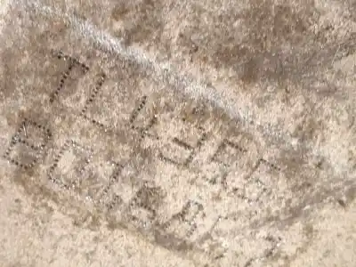 Pezzo di ricambio per auto di seconda mano riduttore per dacia duster (hm_) 1.3 tce 130 (hmmf) riferimenti oem iam tl4355  320108263r