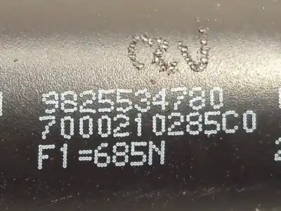 Автозапчастина б/у амортизаторі багажника/дверей для peugeot 2008 ii (ud_, us_, uy_, uk_) 1.5 bluehdi 110 (udyhsk) посилання на oem iam 9825534780  