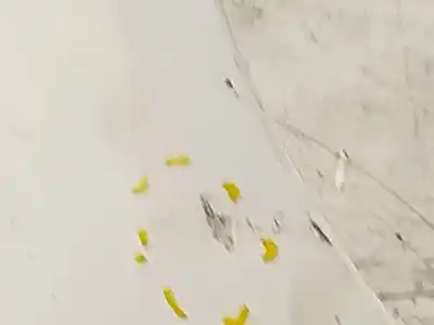 Peça sobressalente para automóvel em segunda mão guarda-lamas dianteiro direito por opel corsa d (s07) 1.3 cdti (l08, l68) referências oem iam 93189644  13191096