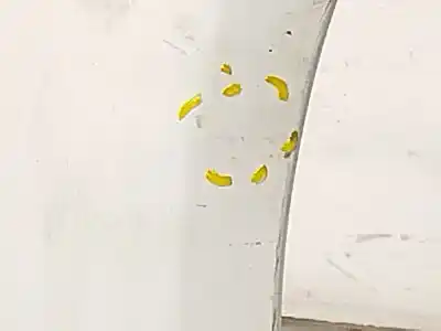 Peça sobressalente para automóvel em segunda mão guarda-lamas dianteiro direito por opel corsa d (s07) 1.3 cdti (l08, l68) referências oem iam 93189644  13191096