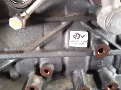 Recambio de automóvil de segunda mano de despiece motor para seat leon (1p1) 1.6 tdi referencias oem iam cay  cayb