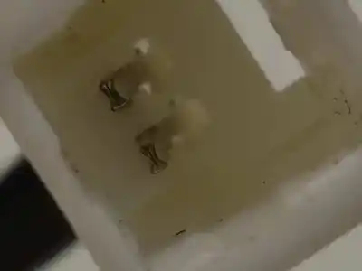 Автозапчастина б/у зовнішня ручка ворот для citroen c-crosser (vu_, vv_) 2.2 hdi посилання на oem iam 649022  