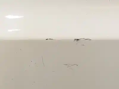 İkinci el araba yedek parçası arka sag kapi için bmw x3 (e83) 2.0 d oem iam referansları 41003449338  