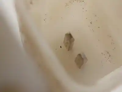 Автозапчастина б/у зовнішня ручка ворот для peugeot 208 ii (ub_, up_, uw_, uj_) 1.2 puretech 130 посилання на oem iam 9820395580  