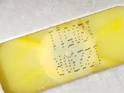 Автозапчасти б/у регулятор стекла переднего левого за renault kangoo / grand kangoo ii (kw0/1_) 1.5 dci 110 (kw0c, kw0h) ссылки oem iam 402087a  807212230r