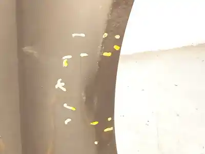 Pezzo di ricambio per auto di seconda mano parafango anteriore destro per audi a4 b7 (8ec) 2.0 tdi 16v riferimenti oem iam 8e0821106f  