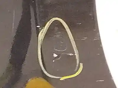 Pezzo di ricambio per auto di seconda mano parafango anteriore destro per renault megane iii fastback (bz0/1_, b3_) 1.5 dci riferimenti oem iam 631005149r  