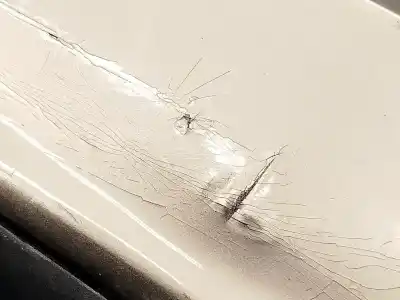 Автозапчастина б/у задній бампер для audi a6 c6 (4f2) 2.0 tdi посилання на oem iam 4f5807303  4f5807303gru