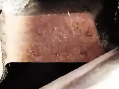 Peça sobressalente para automóvel em segunda mão motor explodido por bmw x3 (e83) 2.0 d referências oem iam 204d4  