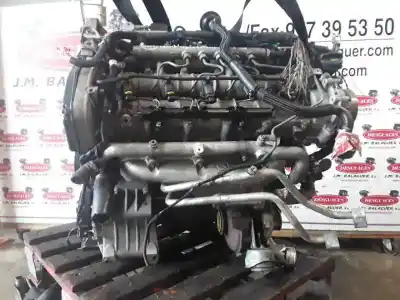 Pezzo di ricambio per auto di seconda mano motore completo per lancia thesis (115) 2.4 multijet 20v cae emblema riferimenti oem iam 841h000  