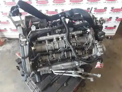 Pezzo di ricambio per auto di seconda mano motore completo per lancia thesis (115) 2.4 multijet 20v cae emblema riferimenti oem iam 841h000  
