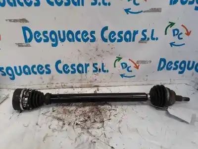 Pezzo di ricambio per auto di seconda mano TRASMISSIONE ANTERIORE DESTRA per AUDI A3 (8L)  Riferimenti OEM IAM 1J0407272  